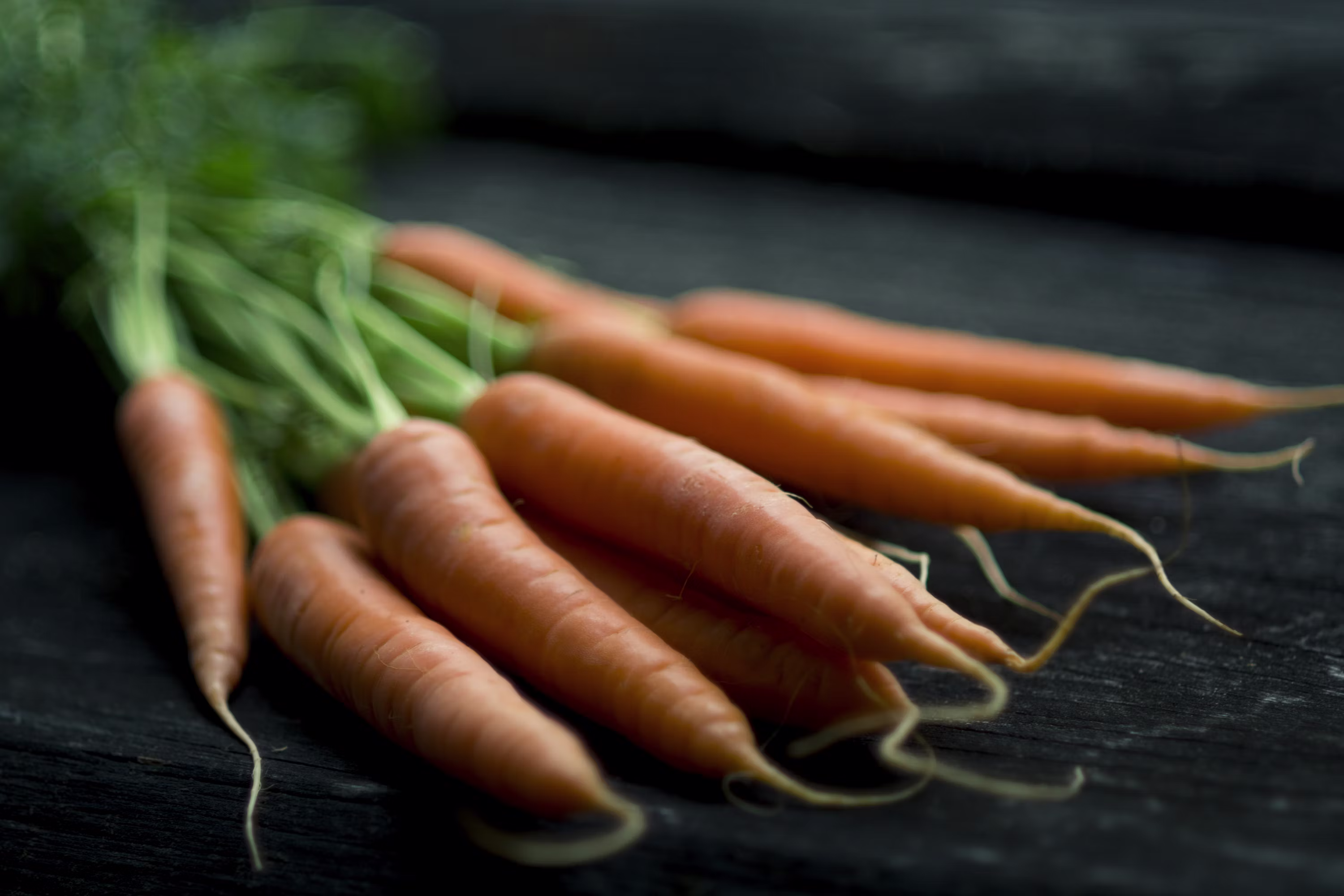 carrot